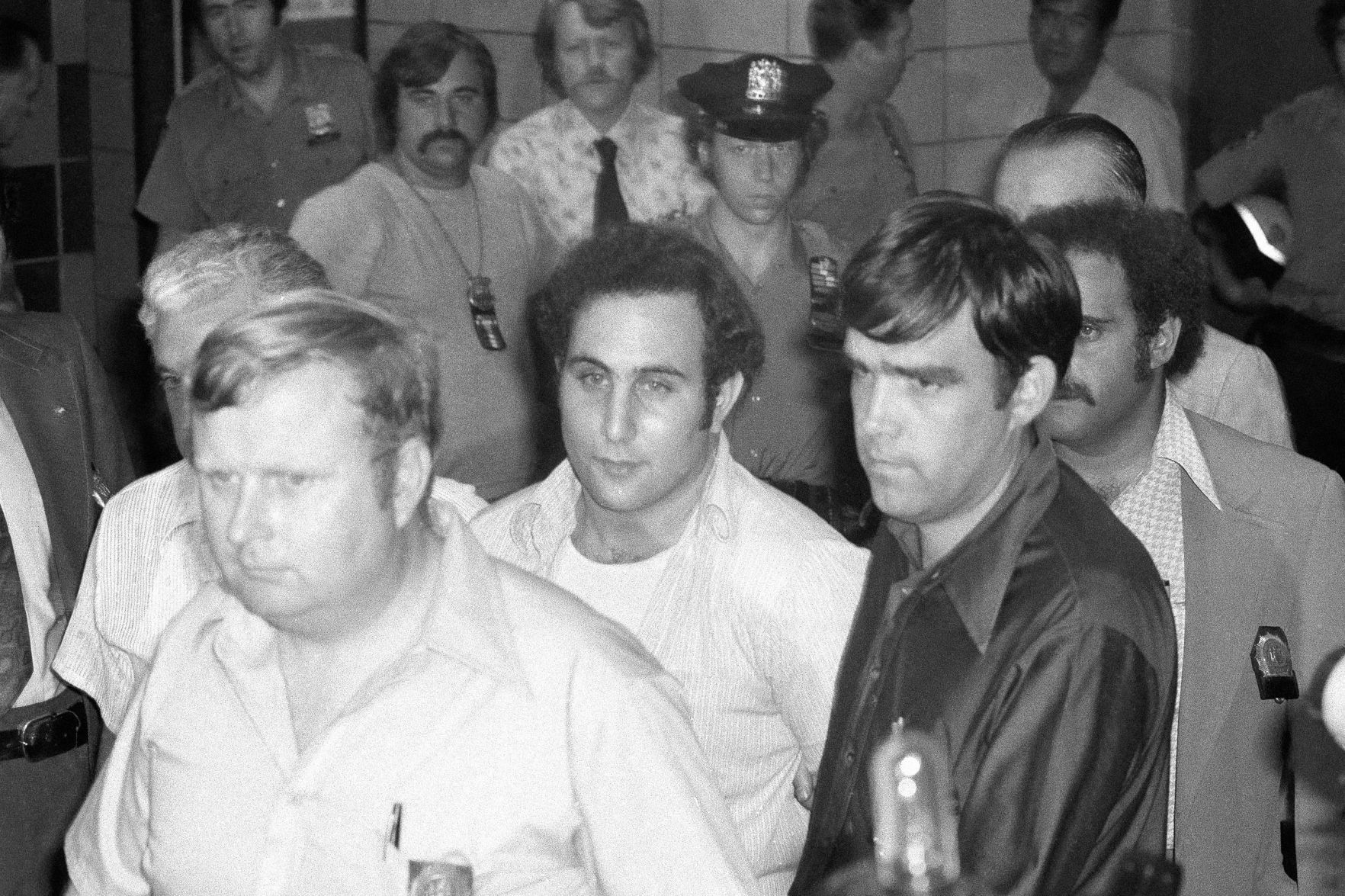 1978: David Berkowitz
